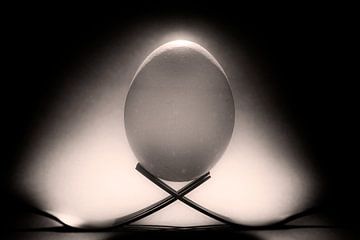 Zwei Gabeln und ein Ei. von Humphry Jacobs