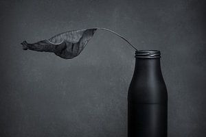 Schwarze Schönheit