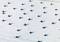 Ruiters in de sneeuw