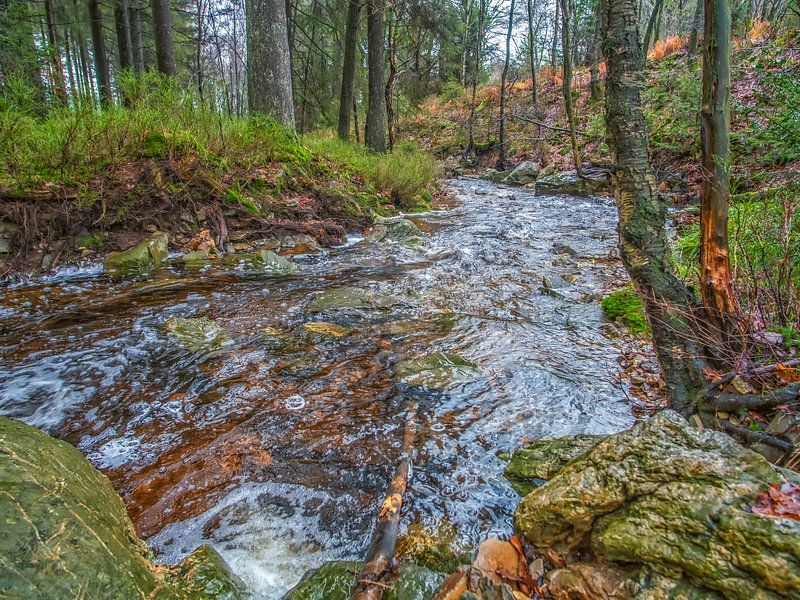 Beautiful Trees with Flowing River Bayehon by Nature Life Ambience