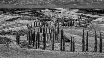 Podere Baccoleno - Toskana - Infrarot schwarz-weiß von Teun Ruijters