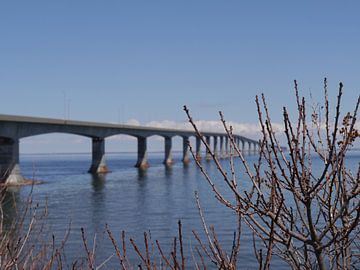 Another bridge over troubled water. by Isis van Noort