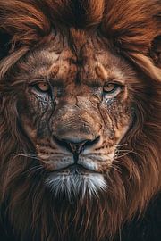 Leeuw van Poster Art Shop