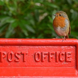 Dunvegan (île de Skye), Écosse, Royaume-Uni sur Jarne Buttiens