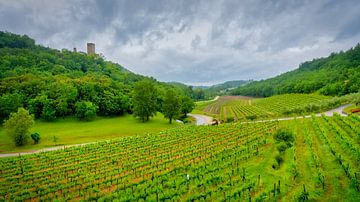 Le vignoble sur Ralf Linckens