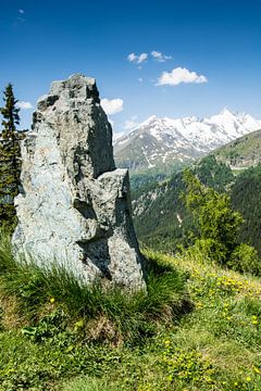 Alpenuitzicht in de Hohe Tauern in Oostenrijk