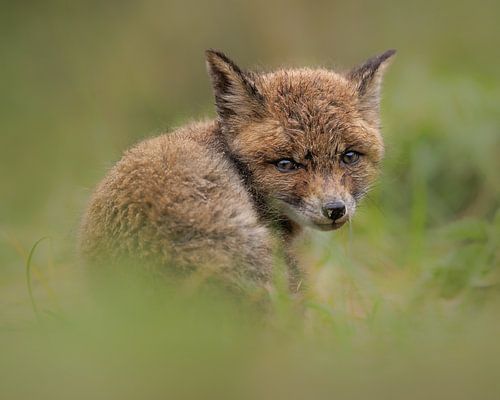Na regen komt soms nog meer regen...