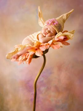 Flower Fairy by Jacky