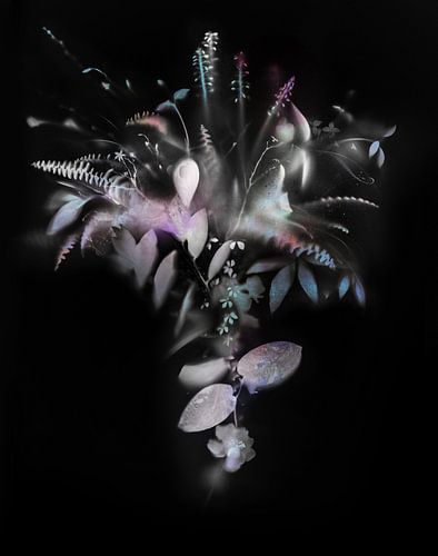 Natural Veil IV Negative