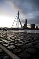 The Erasmus Bridge
