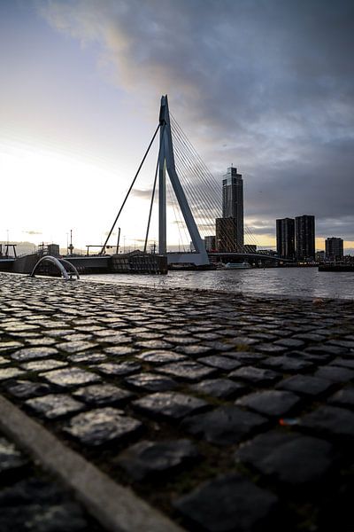 The Erasmus Bridge by SVPhotography