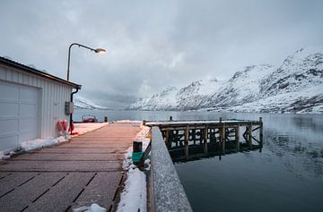 Ersfjordfjord, Noorwegen van Daniel Van der Brug