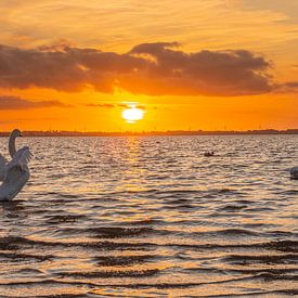 Sonnenuntergang von wilma ten Bhömer