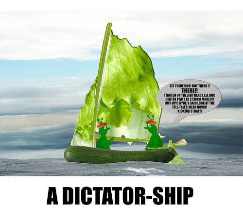 A dictatorship