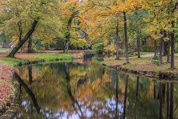 Herfst in Groeneveld van Jeroen de Jongh