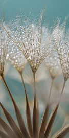 Panorama vertical : les gouttelettes d'eau sont transportées par un duvet brun doré sur Marjolijn van den Berg