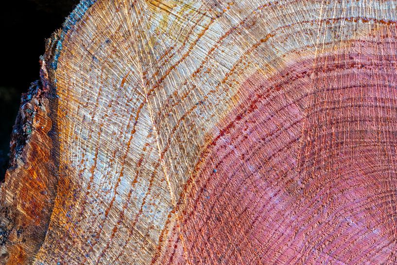 Abstract from Nature #11 by Fred Schuch