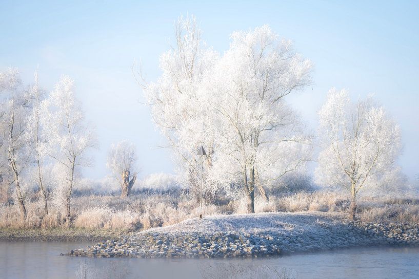Stürmischer Tag in Zeeland von Suzan Brands