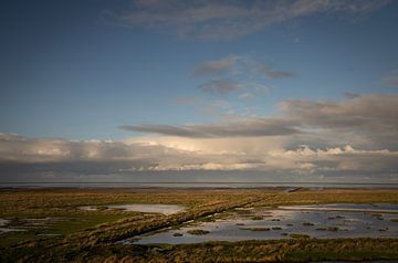 Tiefstehende Nachmittagssonne über den Salzwiesen von Groningen von Bo Scheeringa Photography