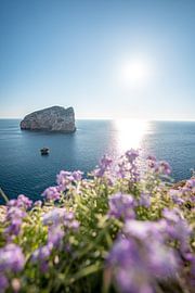 Zonnestralen op de kliffen van Sardinië in het Parco Naturale Di Porto Conte van Leo Schindzielorz