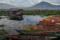 De kleurrijke vissersboten aan de oever van het Rawapening meer in Midden Java van Anges van der Logt thumbnail