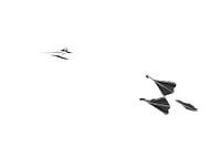 High-Key des Fliegens Jan van Gent