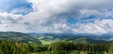 Duitsland, XXL panorama zwart bos natuur landschap van adventure-photos