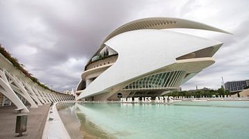 Ciudad de las Artes y las Ciencias - Valencia van Dries van Assen
