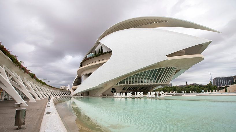 Ciudad de las Artes y las Ciencias - Valence par Dries van Assen