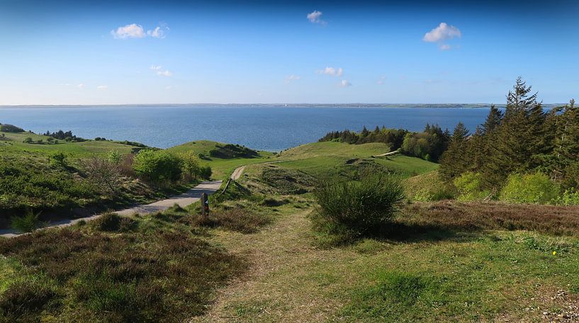 Landschap in Denemarken van Bo Valentino