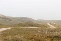 Dunes