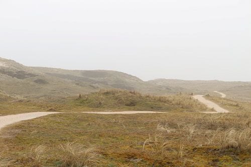 Duinen