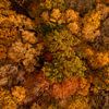 Herbstfarben in Südlimburg von oben von John Kreukniet