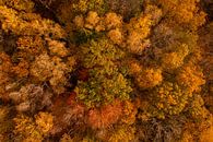 Herbstfarben in Südlimburg von oben von John Kreukniet Miniaturansicht