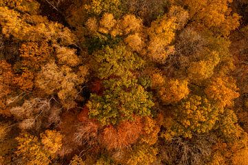 Herbstfarben in Südlimburg von oben