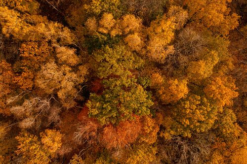 Herfstkleuren in Zuid-Limburg van boven