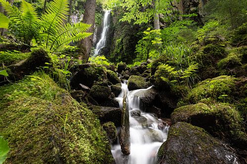 At the Burgbach waterfall
