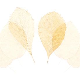 Leaves 5 by Jaap Tanis