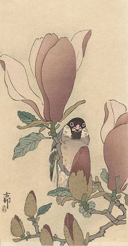 Ohara Koson - Sparrow on blossoming magnolia branch (edited)