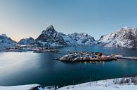 Sakrisoy, een eiland in de winterse bergen en fjorden van de Lofoten, Noorwegen van Sander Groffen thumbnail