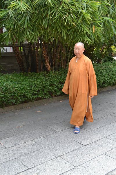 Monk by Simone van der Heide