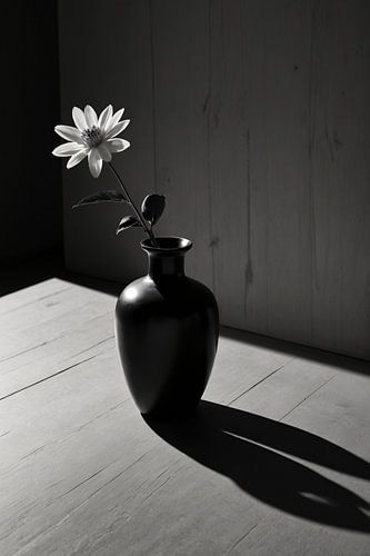 Een stilleven met bloem en schaduwen