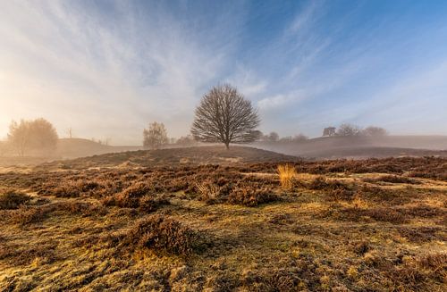 Schönes warmes Licht bei Sonnenaufgang auf dem Posbank