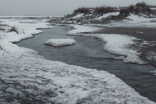 Winter Current