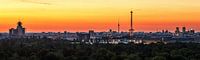 Berlijnse skyline bij zonsopgang van Frank Herrmann thumbnail