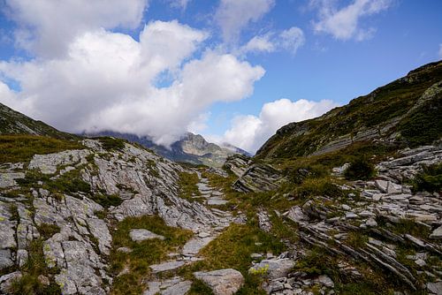 Ongerepte alpenwildernis in de Zwitserse Alpen met ruige bergtoppen en ruige natuur.