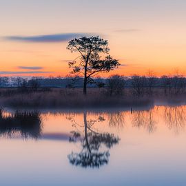 Sonnenaufgang im Dwingelderveld von Henk Meijer Photography