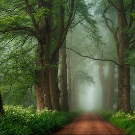 Misty Enchantment: Path To The Unknown