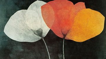 Poppies by Franka Poulain