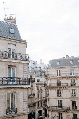 Paris view by sonja koning